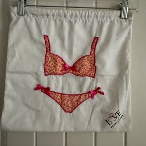 Victoria's Secret lingerie bag